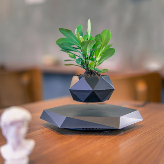 9dcce44c64f67f5559d5516ea9ee1f3e_1731651380220